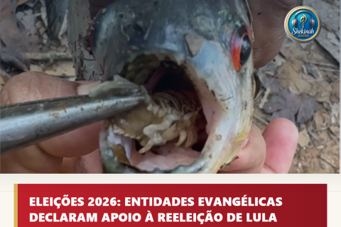 Piolho-comedor-de-língua é retirado de piranha em Rondônia